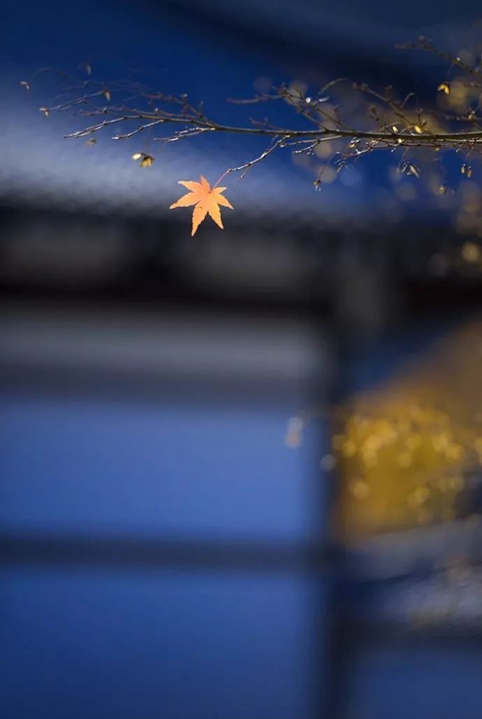 生命美学：崛起的美学新学派