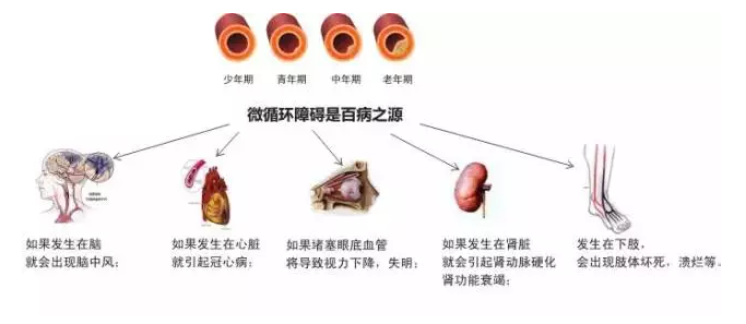 人体的衰老死亡，就是经络不断堵塞的过程